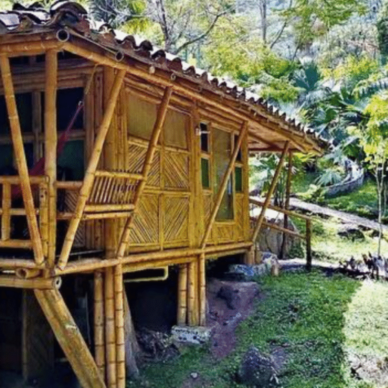 Eco Hotel Tierra Agua 6