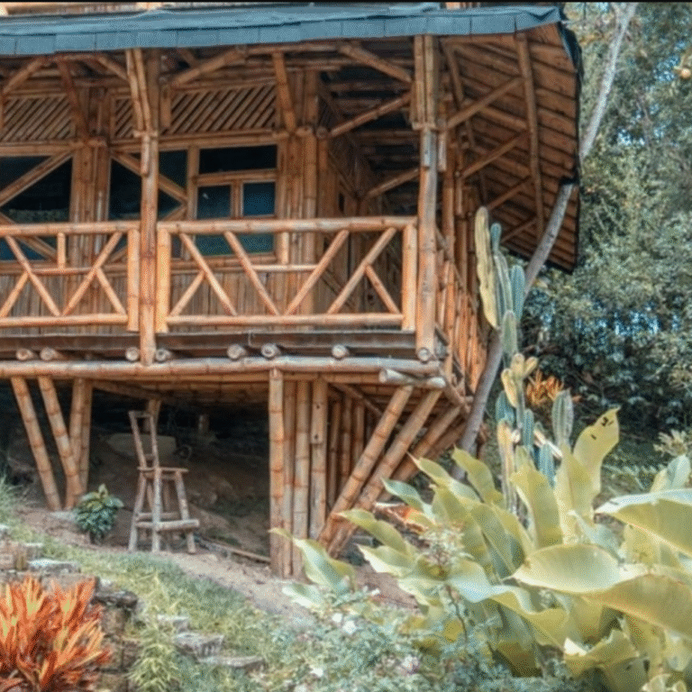 Eco Hotel Tierra Agua 7